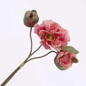 Papaver Bundle Pink BK770015PNK
