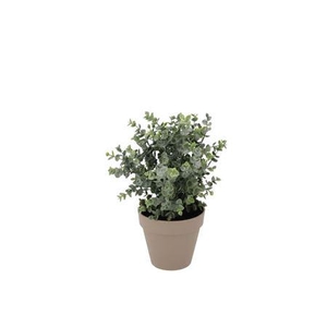 Silk Eucalyptus Green In Pot Terra S 18x18x19cm Nm