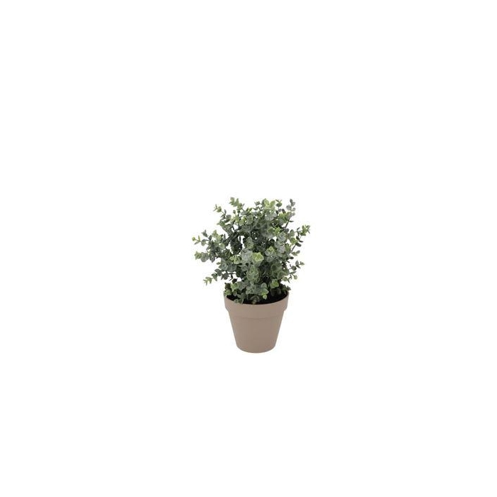 <h4>Silk Eucalyptus Green In Pot Terra S 18x18x19cm</h4>