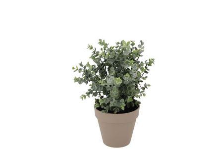 <h4>Silk Eucalyptus Green In Pot Terra S 18x18x19cm Nm</h4>