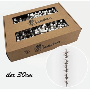 Zijde Berry Pick Medium Wit