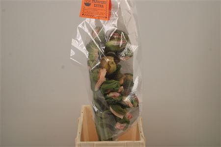 <h4>Papaver. Dark Pink Ex Per Stem</h4>