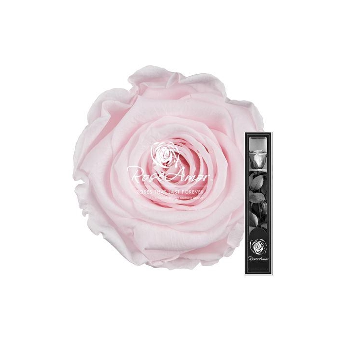 <h4>30cm Stem Pin89</h4>