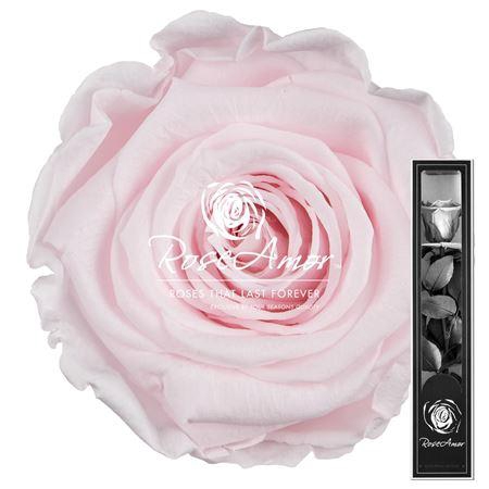 <h4>30cm Stem Pin89</h4>