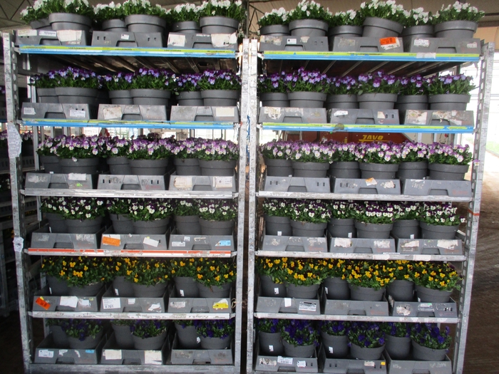 Vio Co Mixk 6kl 1 Kleur Per Fust