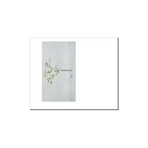 AF Matricaria Chamo L65cm wh