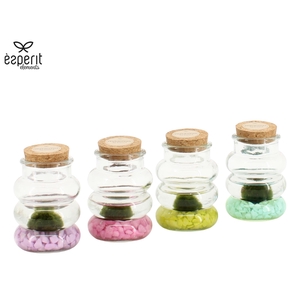 90939: Marimo arrangement