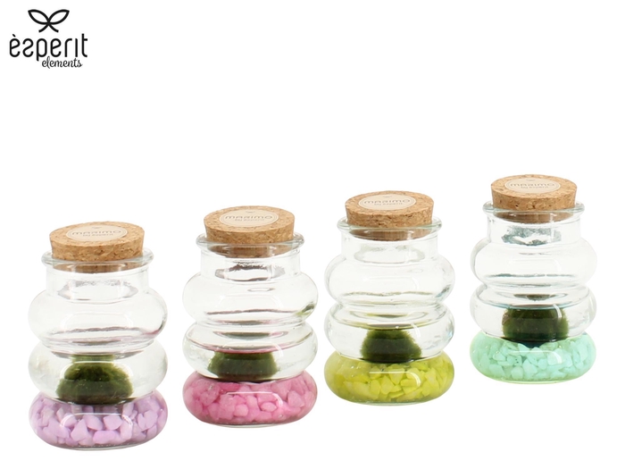 <h4>90939: Marimo arrangement</h4>