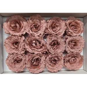 Ro Pres Rom Mini Pink Dusty