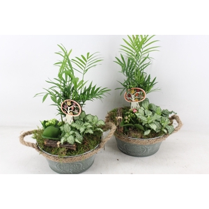 arr2 TD - Zink rond d.green 250/2 - roze/wit