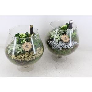 arr2 PL - Glas cognac - goud/zilver