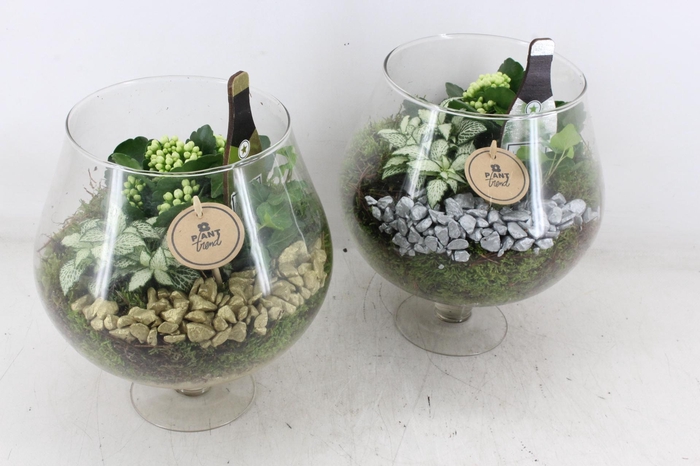 <h4>arr2 PL - Glas cognac - goud/zilver</h4>