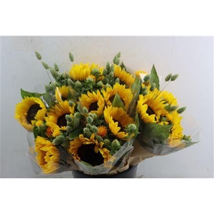 BOUQUET SUNFLOWER GRASS BUNCH