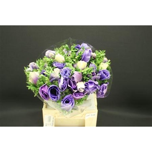 Anem Z Mistral Lichtblauw