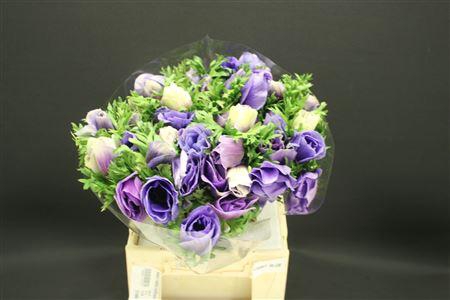 Anem Z Mistral Lichtblauw