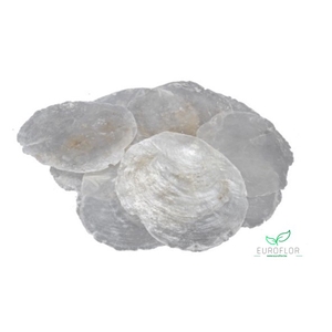CAPIZ NATUREL 1KG 5-10CM