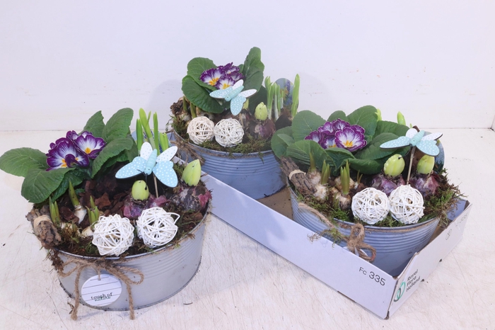 <h4>ARR TUINPLANTEN</h4>