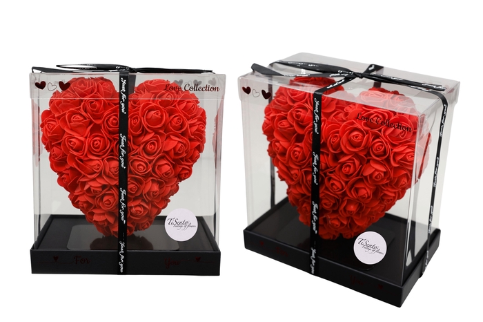 <h4>ARR ROSA POT H%</h4>