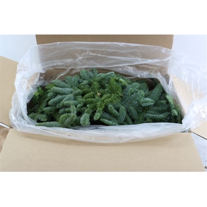 Nobilis Branch Ready To Use P Kg
