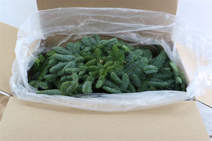 <h4>Nobilis Branch Ready To Use P Kg</h4>