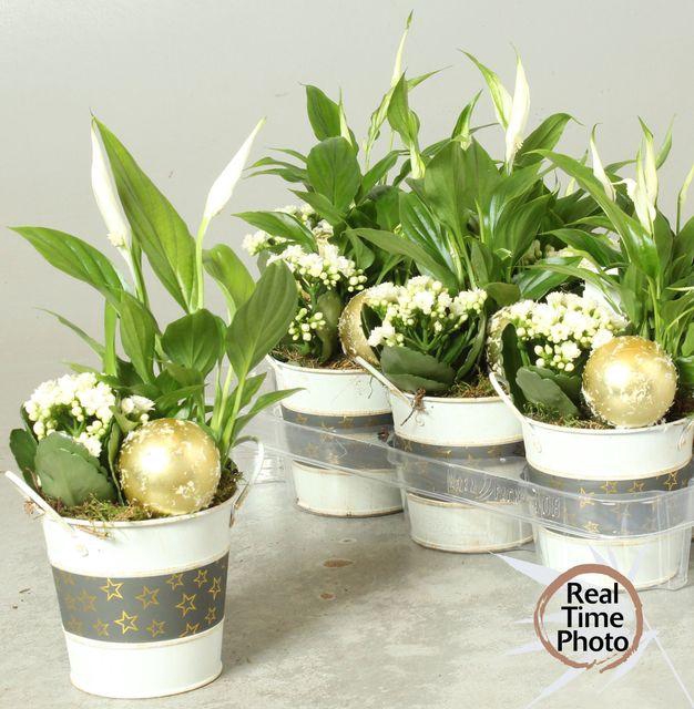 <h4>ARR KAMERPL</h4>