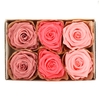 Preserved Rose 6cm