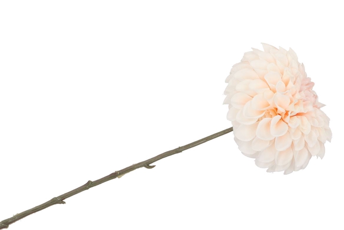 <h4>Silk Dahlia Bold Champagne 68cm</h4>