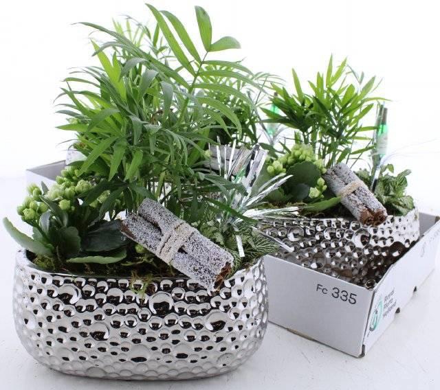 <h4>ARR KAMERPL</h4>