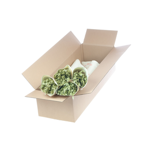 Haver (avena) nat. green