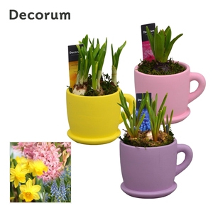 Bollenmix Fleurig Bakkie HL15283B