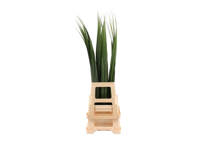 <h4>Pandanus Green</h4>