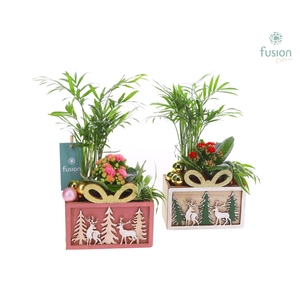 Kerst planter hout met Arrangement