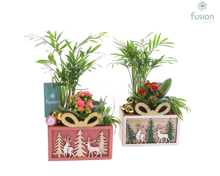 <h4>Kerst planter hout met Arrangement</h4>