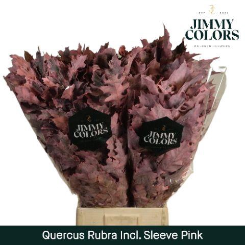 <h4>Quercus Rubra sleeve L80 Pink</h4>