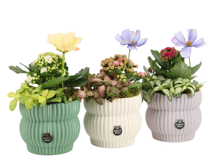 <h4>11560: Consideration arrangement</h4>