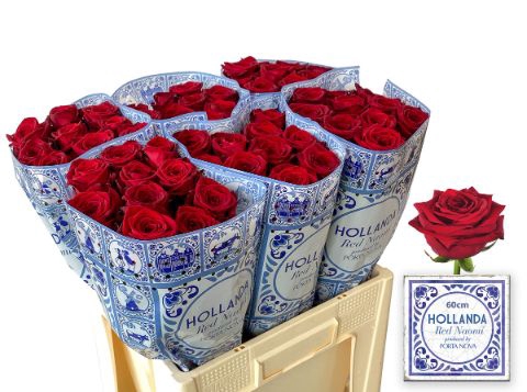 <h4>Rozen Red Naomi Hollanda 60cm</h4>