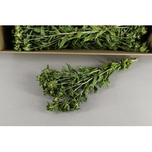 DF Carthamus Green Bs 125g