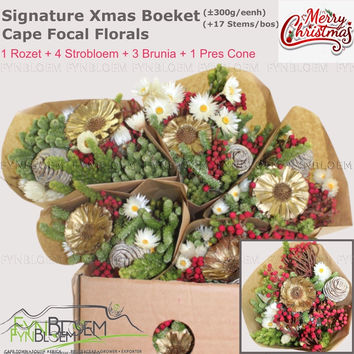 <h4>KAAPS GROE GEM IN BS</h4>