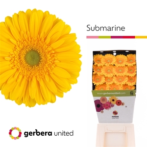 Ge Gr Submarine Diamond United