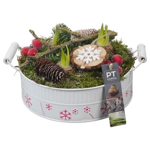 <h4>PTACH5872 Arrangementen Kerst</h4>