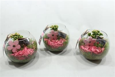 <h4>1479 ROZE BOLGLAASJE X3</h4>