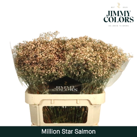 <h4>Gyps Million Star L80 Salmon</h4>