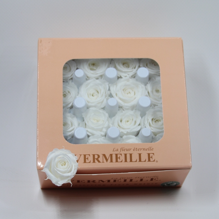 <h4>Rose Ava Princess White</h4>