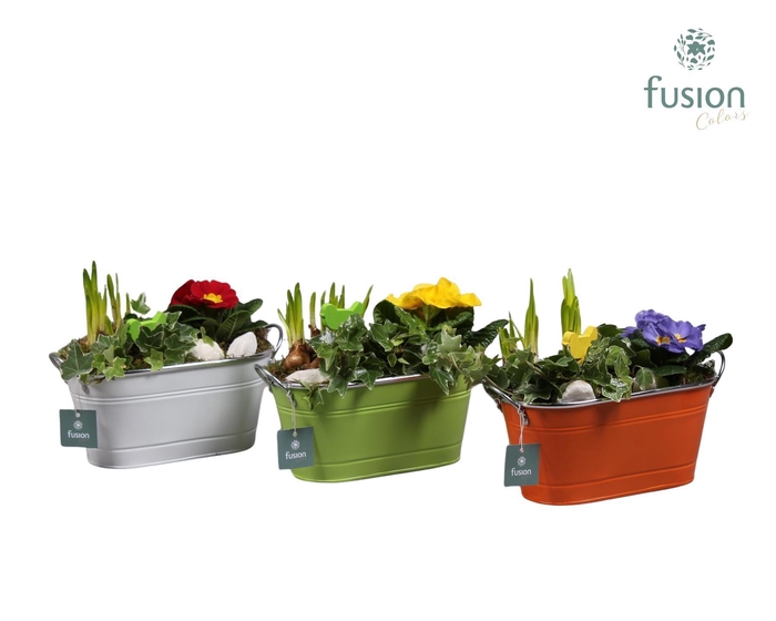 <h4>Schaal zink ovaal Voorjaar met Arrangement verschillende kleuren</h4>