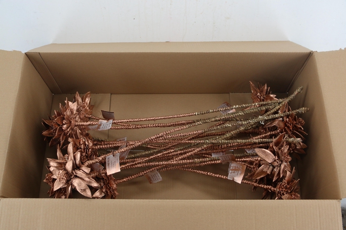 <h4>Stick Dahlia Spider Copper</h4>