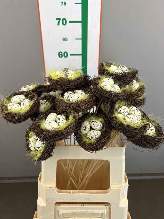 E .EGGS +NEST SALIM  10 CM OP STOK
