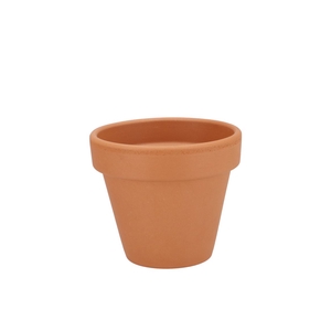 Terracotta Basic Pot D13xh11cm