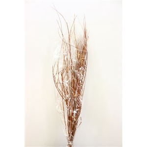 Dried Tamerice Natural Bunch Poly
