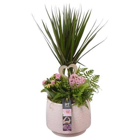 <h4>PTVMB4724 Arrangementen kamerplanten</h4>