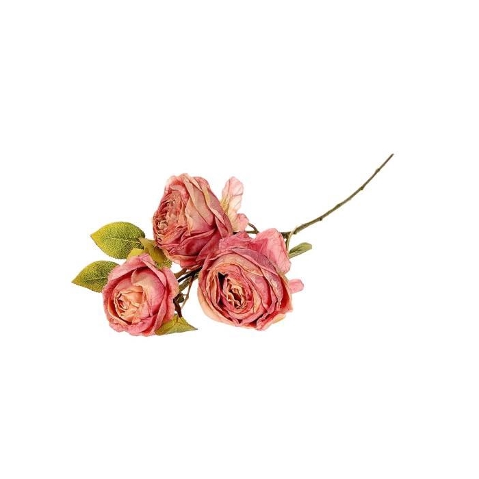 <h4>Branch Rosa Gallica L70</h4>